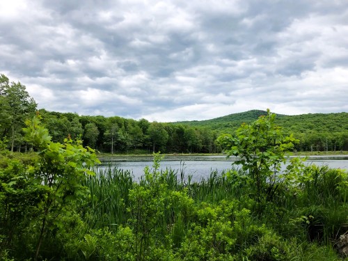 Lush greenery surrounds a calm lake under a cloudy sky, with rolling hills in the background.