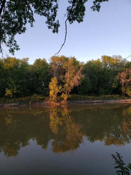A serene river scene with trees reflecting on the calm water under a clear sky.