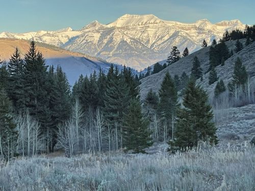 Snow-capped mountains rise in the background, surrounded by evergreen trees and a serene, grassy landscape.