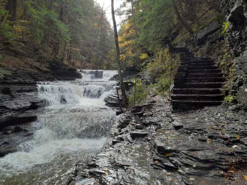 A serene waterfall cascades over rocks, with a stone staircase beside it, surrounded by lush green trees in autumn.