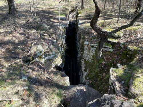 A narrow crevice in a rocky landscape, surrounded by trees and sparse vegetation. Sunlight filters through the area.