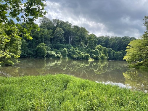 A serene lake surrounded by lush greenery and trees, reflecting the cloudy sky above.