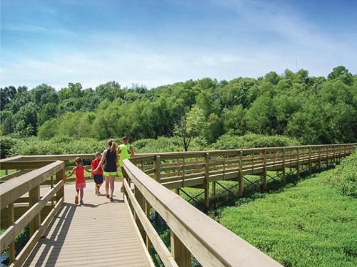 A family walks along a wooden boardwalk through lush greenery on a sunny day.