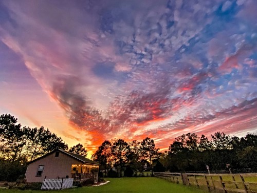 A vibrant sunset paints the sky with pink and orange hues over a cozy house and lush trees.