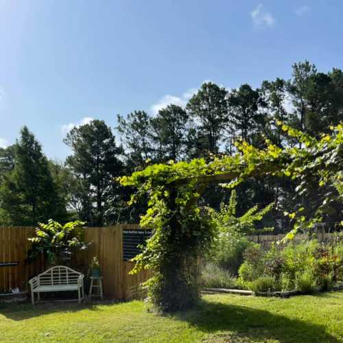 A sunny garden with a wooden bench, lush greenery, and trees in the background, surrounded by a wooden fence.