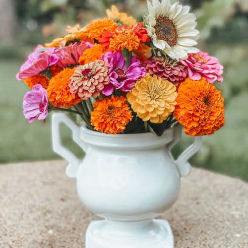 A white vase filled with vibrant orange, pink, and yellow flowers, including zinnias and sunflowers, on a table outdoors.