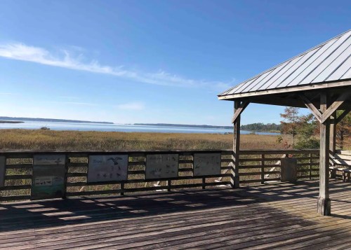 A wooden deck overlooks a calm lake surrounded by tall grasses under a clear blue sky. Informational signs are visible.