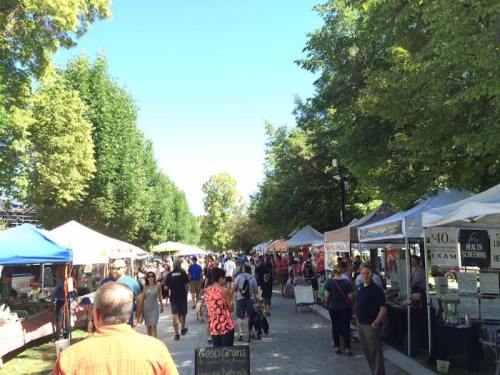 A bustling outdoor market with vendors under colorful tents, surrounded by trees and a crowd of people enjoying the day.