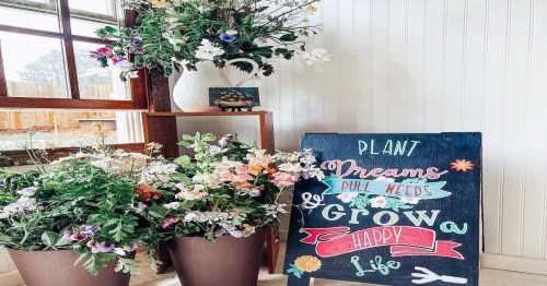 A cozy indoor space with potted flowers and a chalkboard sign that reads, "Plant dreams, pull weeds, and grow a happy life."