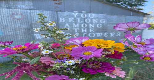 A vibrant bouquet of flowers in front of a wall with the text "You belong among the wildflowers."