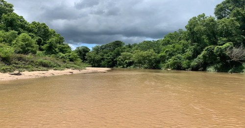 A calm river flows through lush green trees under a cloudy sky.