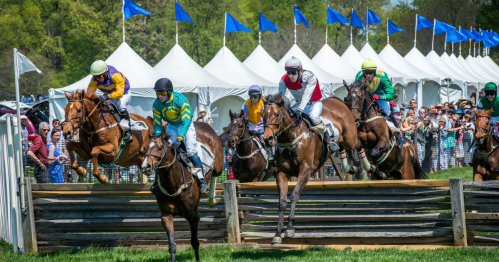 Horses and jockeys jump over a fence during a race, with spectators and tents in the background.