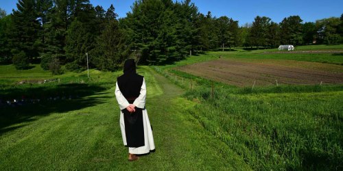 A person in a black and white robe stands on a grassy path, overlooking a lush green field and trees.