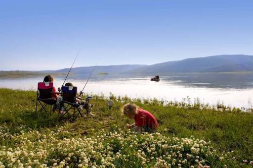 Two people fishing by a lake, with a child playing in the grass and a boat in the distance under a clear blue sky.