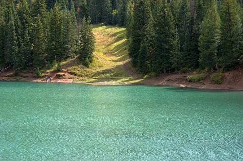 A serene lake surrounded by lush green trees and a grassy slope, reflecting a clear blue sky.