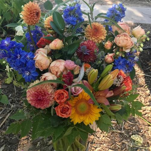A vibrant bouquet of mixed flowers, including dahlias, roses, and sunflowers, surrounded by lush green leaves.