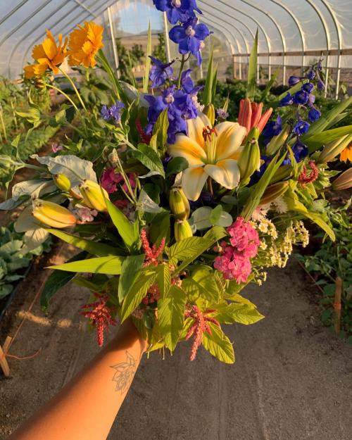 A hand holds a vibrant bouquet of mixed flowers, including lilies and delphiniums, in a greenhouse setting.