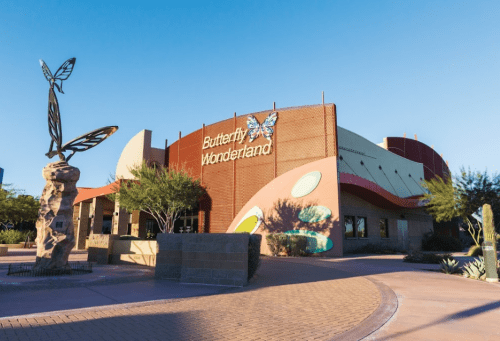 Exterior of Butterfly Wonderland, featuring a butterfly sculpture and colorful building against a clear blue sky.