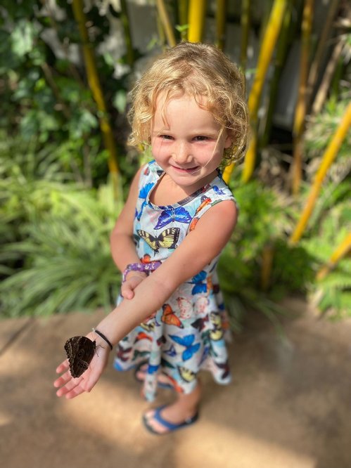 A smiling child in a butterfly-patterned dress holds a butterfly on her arm, surrounded by greenery.