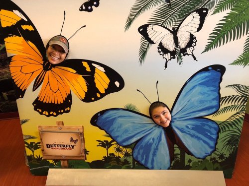 Two people peeking through a butterfly-themed cutout, surrounded by colorful butterfly illustrations and tropical plants.