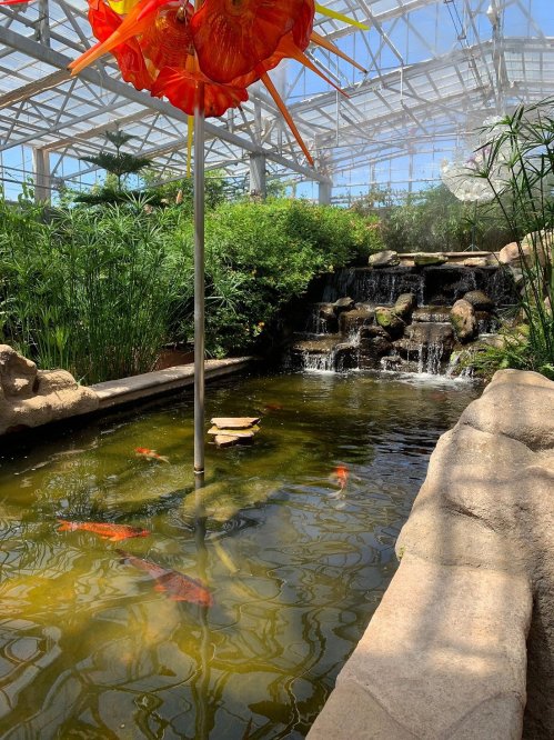 A serene indoor garden with a pond, koi fish, a waterfall, and vibrant plants under a glass roof.
