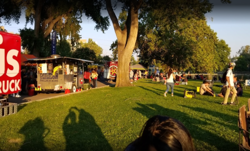 A lively park scene with food trucks, people enjoying the outdoors, and trees in the background during golden hour.