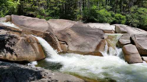 A flowing river cascades over large, smooth rocks surrounded by lush green trees.