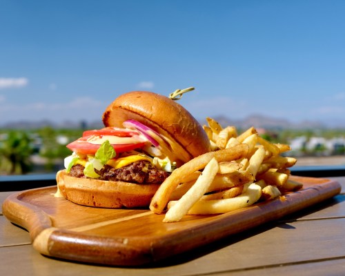 A juicy burger with lettuce, tomato, and onion, served with crispy fries on a wooden platter against a blue sky.