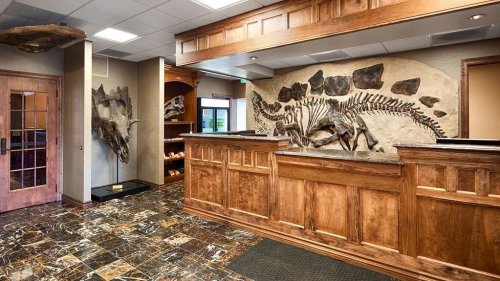 A reception area featuring wooden counters and fossil displays on the walls, with a marble floor.