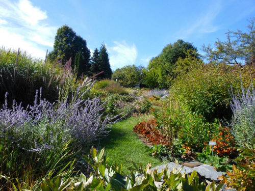 A vibrant garden path lined with colorful flowers and lush greenery under a clear blue sky.