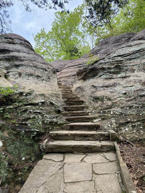 Stone steps lead up a rocky path surrounded by greenery and trees under a clear sky.