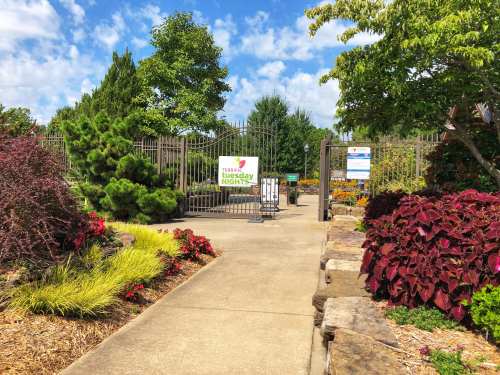 Entrance to a garden with colorful flowers and a sign for "Tasty Tuesday Nights" under a blue sky.