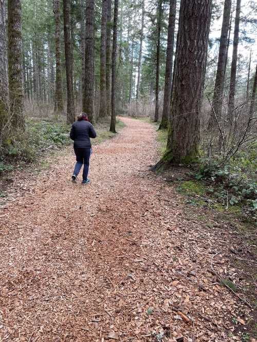 A person walks along a winding, wooded trail surrounded by tall trees and scattered pine needles.