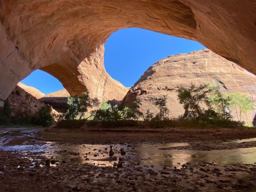 A stunning view of a natural rock arch with blue sky, surrounded by rocky terrain and greenery below.