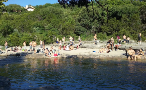 A crowded riverside scene with people sunbathing and swimming among lush greenery.