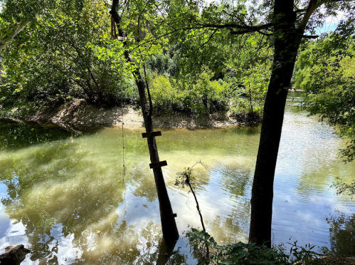 A serene river scene surrounded by lush greenery and trees, reflecting sunlight on the water's surface.