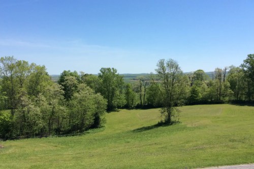 A scenic view of lush green fields and trees under a clear blue sky.