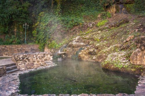 A serene natural hot spring surrounded by lush greenery and rocky terrain, with steam rising from the water.