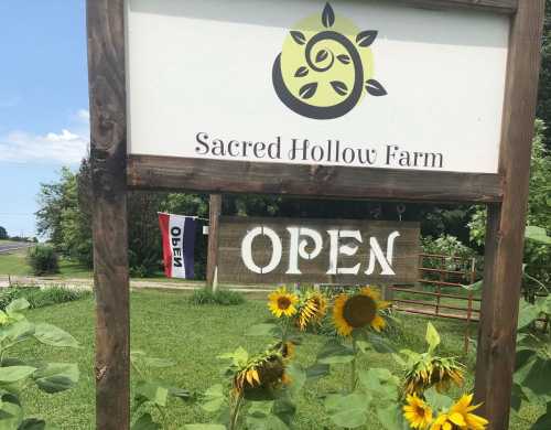 Sign for Sacred Hollow Farm with "OPEN" displayed, surrounded by sunflowers and a clear blue sky.