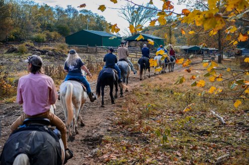 A group of people riding horses along a dirt path surrounded by autumn foliage and rustic buildings.