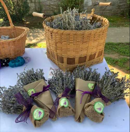 A woven basket filled with lavender, alongside wrapped lavender bundles tied with purple ribbons on a table.