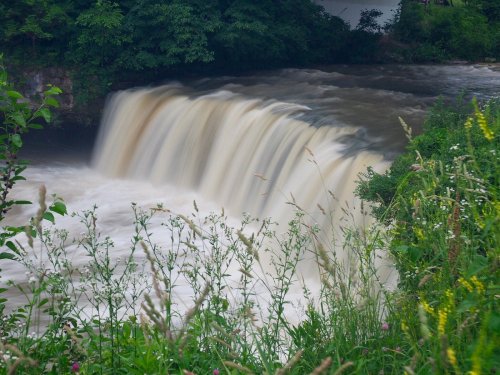 A cascading waterfall surrounded by lush greenery and wildflowers, with flowing water creating a misty effect.