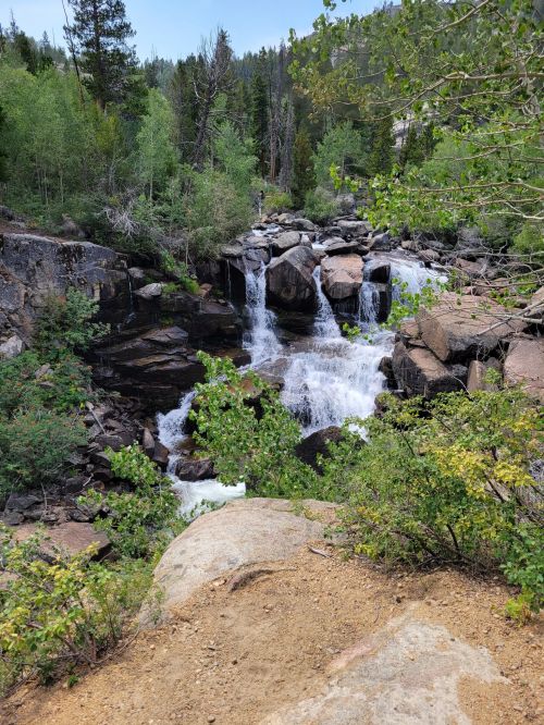 A serene waterfall cascades over rocks, surrounded by lush greenery and trees in a tranquil natural setting.