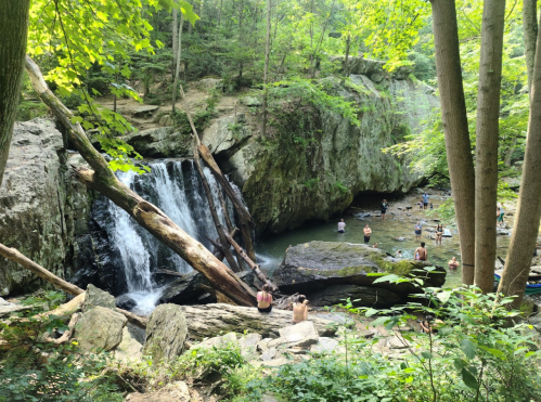 A serene waterfall surrounded by lush greenery, with people enjoying the water and rocks nearby.