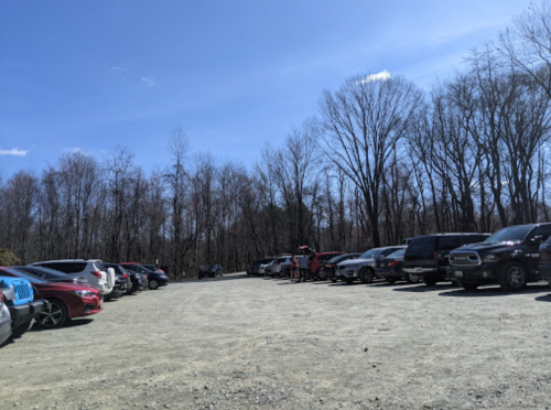 A gravel parking lot filled with various cars, surrounded by bare trees under a clear blue sky.