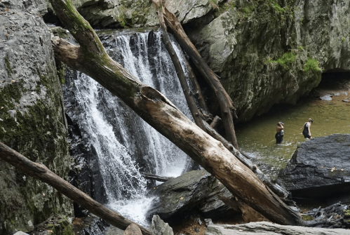 A serene waterfall cascades over rocks, with two people wading in the water nearby, surrounded by lush greenery.