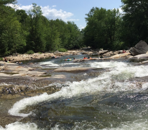 A flowing river surrounded by lush green trees, with people enjoying the water on a sunny day.