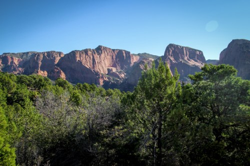 A scenic view of rugged mountains rising above a dense forest under a clear blue sky.