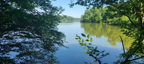 A serene lake surrounded by lush green trees under a clear blue sky. Reflections shimmer on the water's surface.