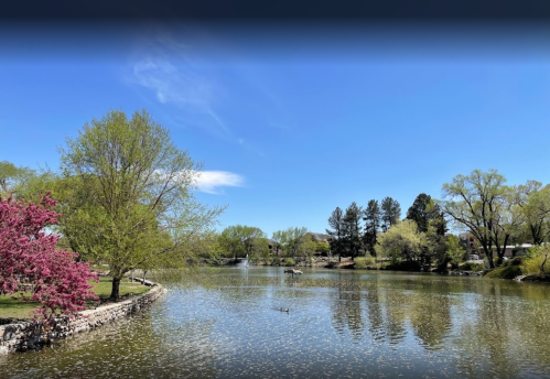 A serene lake surrounded by lush green trees and blooming pink flowers under a clear blue sky.